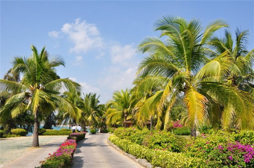 阿叔阿姨酱汁炸串