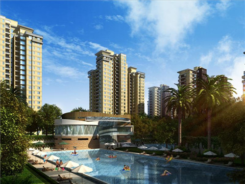 鸡本部脆皮鸡排