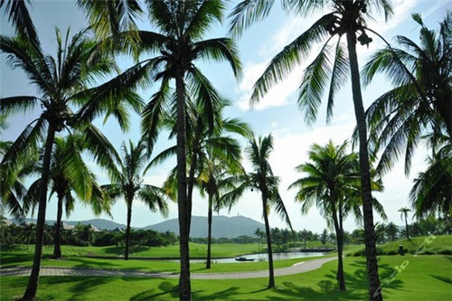 铜鼎酸汤鱼冰火锅