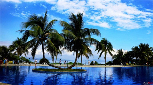 栀子花开零食加盟在峡江县开店前景怎么样