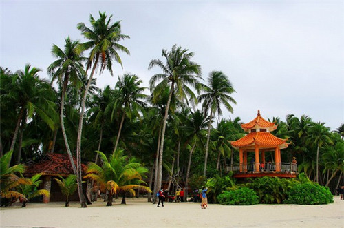 民和回族土族自治县开店太阳能电池加盟店排行榜前十名比较火的