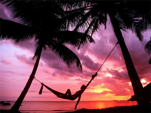 手游直播什么比较火的（专门直播手游的平台）