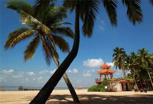 唱什么歌是谁唱的（谁唱歌叫什么）